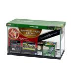 GEX マリーナ600BKST LED&デュアルクリーンセット 60cm水槽セット 沖縄別途送料 お一人様1点限り