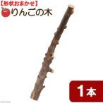  местного производства натуральный материалы. яблоко. дерево класть type pa-chi примерно 60cm~70cm вид оставив решение кому-то другому 1 шт. 