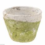  суккулентное растение античный pot диаметр 10×7.5cm белый mo спот стандартный 