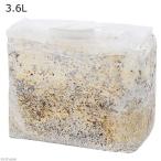 冷蔵★菌糸ブロック　微創研　オオヒラタケＥ　エコブロック　３．６Ｌ　広葉樹　粗目　別途クール手数料　常温商品同梱不可