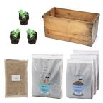 りんご箱ガーデン猫ちゃん大好きキャ...