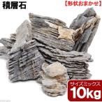 形状お任せ 積層石 サイズミックス 10kg 60cm水槽向け アクアリウム レイアウト素材