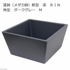 睡蓮鉢 メーカー直送 睡蓮鉢(メダカ鉢) 新型 凛 RIN 角型 ダークグレー M 睡蓮鉢・金魚鉢・メダカ鉢 同梱不可