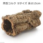 形状お任せ　筒型コルク　Ｓサイズ　長さ１５ｃｍ　蘭　エアプランツ　着生植物　爬虫類