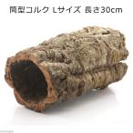 形状お任せ　筒型コルク　Ｌサイズ　長さ３０ｃｍ　蘭　エアプランツ　着生植物　爬虫類