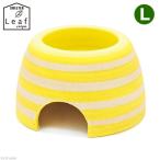  ракушка ta- окантовка мокрый ракушка ta- лимон желтый L Shigaraki . рептилии земноводные 