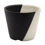  бонсай горшок Shigaraki . цветочный горшок .- левый правый . минут 3 номер кактус суккулентное растение луговые и горные травы снег сломан .