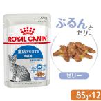 ロイヤルカナン　猫　ＦＨＮ−ＷＥＴ　室内で生活する成猫用　インドア　ゼリー　８５ｇ×１ボール（１２袋）　室内猫　ウェット　お一人様５点限り