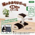  outlet кошка для коготь .. кошка. . игра paul (pole) . рыба Family подножка шт. есть перевод 