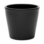  суккулентное растение TERRA LAB pra горшок распорка type 