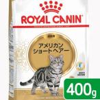 ロイヤルカナン　猫　アメリカンショートヘアー　成猫用　生後１２ヵ月齢から１２歳まで　４００ｇ　ジップ無し（キャットフード　ドライ）