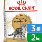 ロイヤルカナン　猫　アメリカンショートヘアー　成猫用　生後１２ヵ月齢から１２歳まで　２ｋｇ×３袋　ジップ付（キャットフード　ドライ）