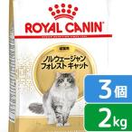 ロイヤルカナン　猫　ノルウェージャン　フォレスト　キャット　成猫用　生後１２ヵ月齢から１２歳まで　２ｋｇ×３袋　ジップ付