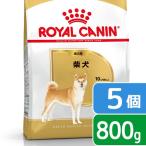 ショッピングロイヤルカナン ロイヤルカナン　柴犬　成犬用　８００ｇ×５袋　３１８２５５０８２３８９０　ジップ付　お一人様２点限り