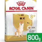 ロイヤルカナン　柴犬　中・高齢犬用　８００ｇ　３１８２５５０８６６１１８　ジップ付　お一人様５点限り