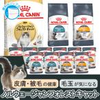 ロイヤルカナン　猫　ノルウェージャンフォレストキャットセット　毛玉、皮膚・被毛の健康に配慮　ドライ３種各１袋　＋　ウェット２種各５袋