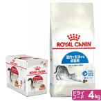 ロイヤルカナン　猫　室内猫用ドライウェットセット　ドライ４ｋｇ×１袋　ジップ付＋パウチ８５ｇ×１２袋　お一人様５点限り