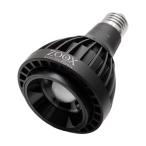 ＺＯＯＸ　ＬＥＤ　ＲＡＹＳ　Ｔｒｏｐｉｃａｌ　水草　コケテラリウム　小型水槽　植物　沖縄別途送料