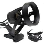 ＺＯＯＸ　ＲＡＹＳ　ＬＥＤ　ソケット