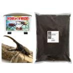 （昆虫）ヘラクレス・ヘラクレス幼虫（１匹）＋見える観察ケースラクぼっくすワイドセット説明書付　お一人様５点限り　本州四国限定