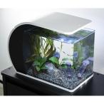 （熱帯魚）（水草）ＬＥＤアークアクアリウム　ＡＲＣ−４３　アカヒレ＆水草セット　本州四国限定