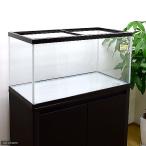 (大型)ニュークリスタル・カラフル水槽(90×45×45cm)(単体) 90cm水槽 本州四国送料無料・同梱不可・代引不可 200サイズ