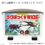 プラケース 見える観察ケース ラクぼっくす ワイド