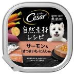 シーザー 自然素材レシピ サーモン&さつまいも・にんじん 85g×28個 ドッグフード