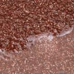 レインフォレストサンド　１０ｋｇ　底砂　底床　古代魚　大型魚　お一人様２点限り