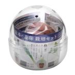 . новый керамика ... Capsule случайный приправа культивирование комплект огород подарок 