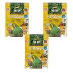 �L���[�����@�L���s�s�@�C���R�@�嗱�@�U�O�O���~�R�܁@���^�E��^�C���R�p�@�����h�{�H