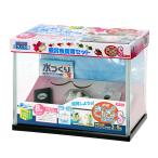 水作 水槽セット NEW きんぎょファミリー S お一人様2点限り 金魚 水槽