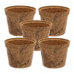  горшок сырой разборка . кокос pot 100×100×80mm 5 шт. комплект 