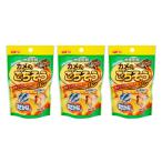 ＧＥＸ　カメ元気　カメのごちそうパン　おさかな味　ジェックス　餌　エサ×３個
