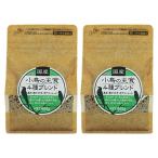 黒瀬ペットフード 国産小鳥の主食 4種ブレンド×2袋 鳥 フード エサ