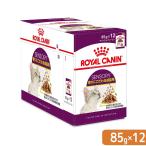 ロイヤルカナン 猫 センサリースメル 香りにこだわる猫用 85g×12袋 正規品 FHN−WET お一人様5点限り