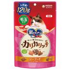 銀のスプーン　おいしい顔が見られるおやつ　毛玉ケア　カリカリシーフード　１２０ｇ