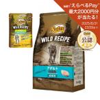 ニュートロ 猫 キャット ワイルド レシピ アダルト 白身魚 成猫用 2kg + ワイルド レシピ パウチ おまけ付