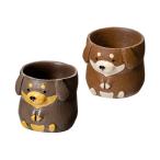  горшок little resin pot миниатюра Dux fndo1 номер pot для цвет случайный горшок покрытие 