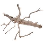 kami - ta Thai производство натуральный коряга b ланч дерево L примерно 48×38×38cm аквариум террариум Pal dalium аквариум 