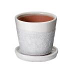  горшок покрытие Hare -4 номер белый низ дыра есть поддонник имеется декоративное растение цветочный горшок модный 