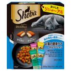 キャットフード　シーバ　デュオプラス　お腹の健康ケアセレクション　２００ｇ（２０ｇ×１０袋）