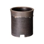  бонсай горшок Shigaraki . цветочный горшок золотая краска размер туловище 3.5 номер суккулентное растение луговые и горные травы 