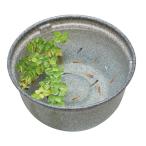 GEX メダカ元気 メダカのための飼育鉢 みかげ 370