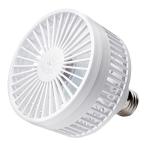  растения для вентилятор BARREL Aechmeaekmea коврик белый 4W застежка E26