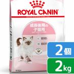 ショッピングチャーム ロイヤルカナン　子猫　キトン　成長後期の子猫用　生後１２ヵ月齢まで　２ｋｇ×２袋　ジップ付　キャットフード　ドライ　お一人様２点限り