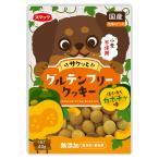 スマック グルテンフリークッキー カボチャ味 40g