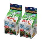 アウトレット品　ＧＥＸ　ロカボーイＳ　ベストロカ　コケを抑えるマット２個入り×２　交換用　訳あり