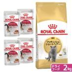 ロイヤルカナン　猫　ブリティッシュ　ショートヘアー　成猫用　生後１２ヵ月齢から１２歳　２ｋｇ　＋　ウェット×４袋