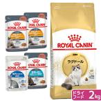 ロイヤルカナン　猫　ラグドール　成猫用　生後１２ヵ月齢から１２歳まで　２ｋｇ　＋　ウェット×４袋